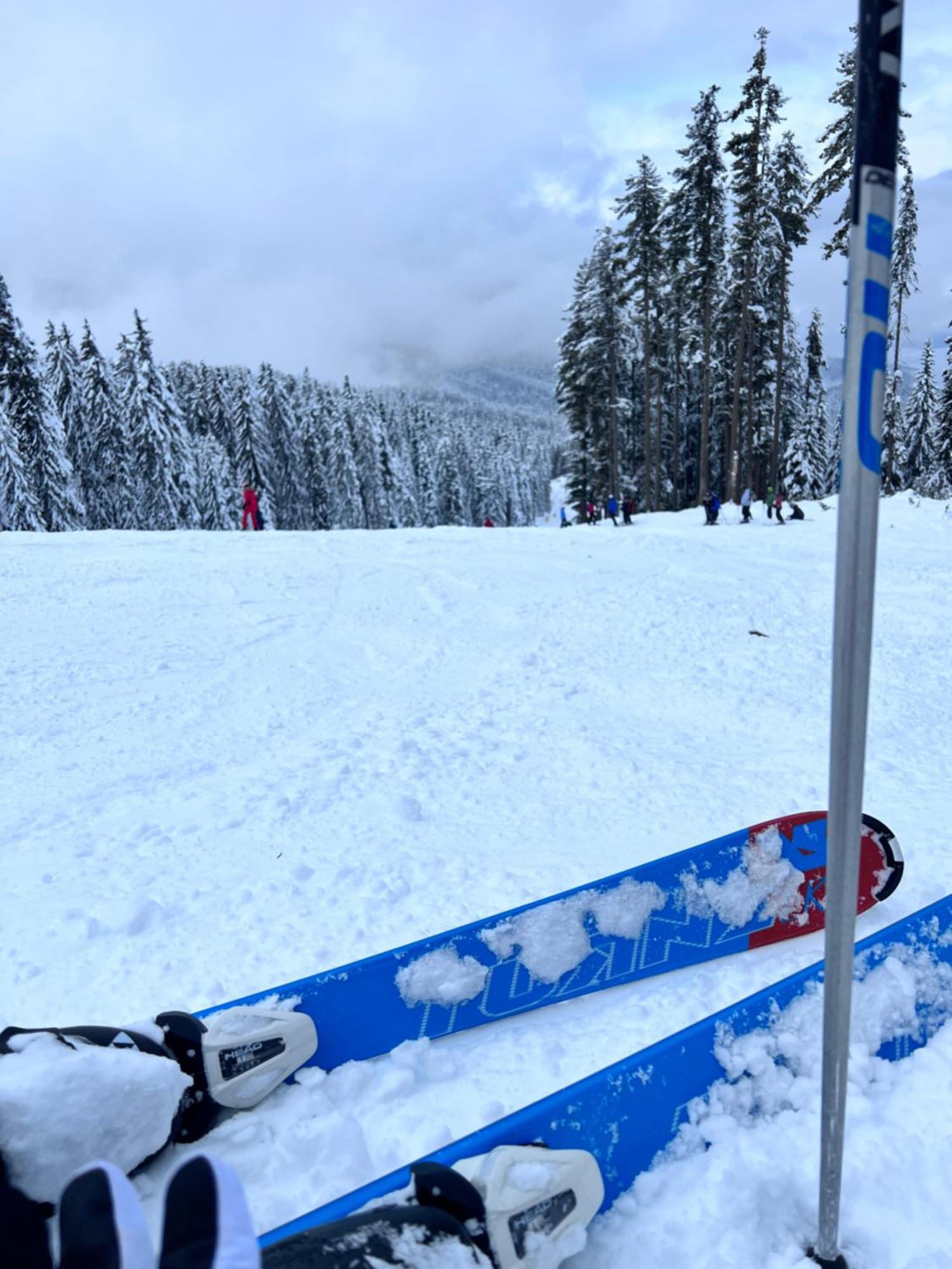 Dimitri Apartament Emerald , Near Gondola Bansko Ngoại thất bức ảnh