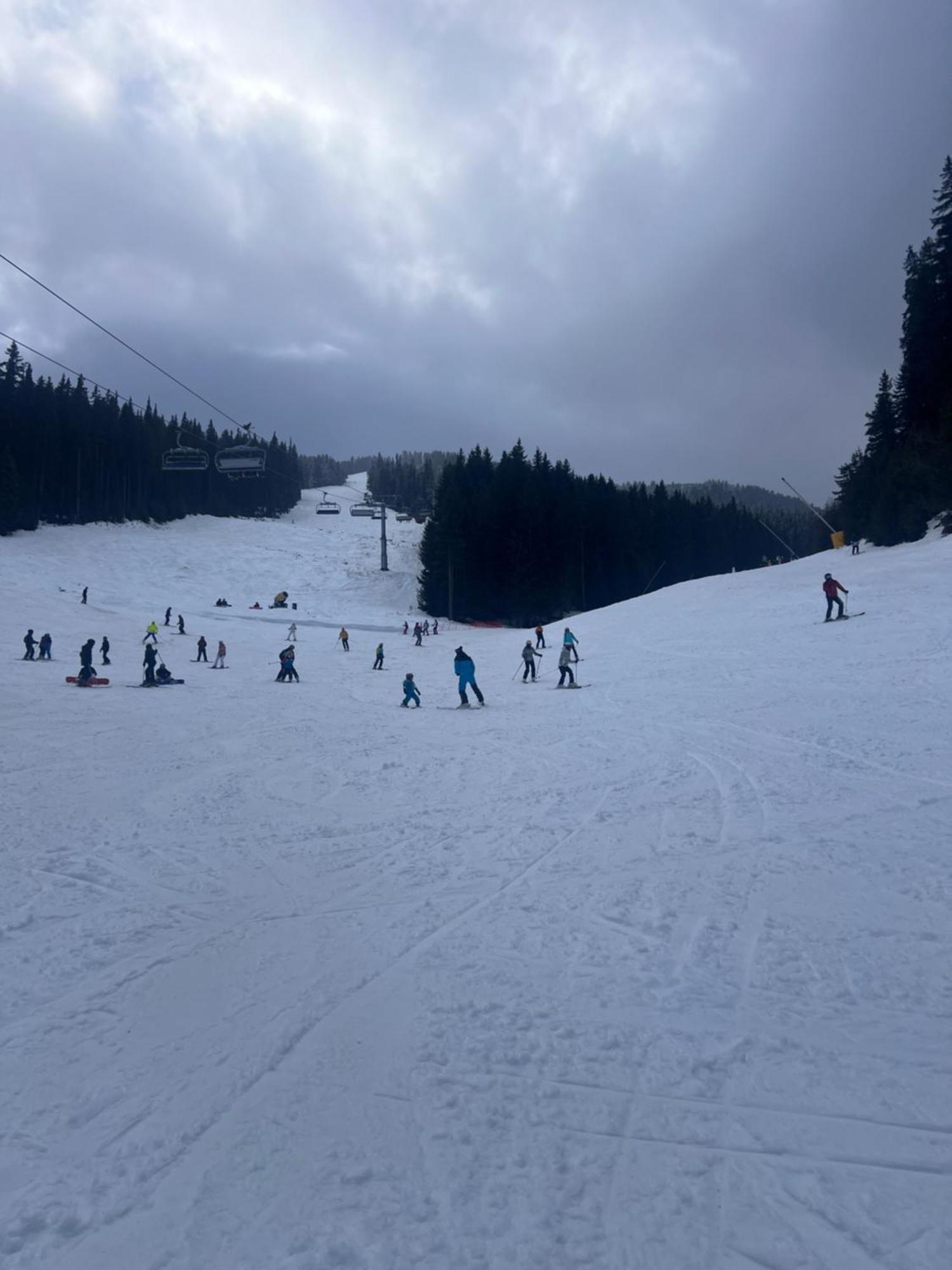 Dimitri Apartament Emerald , Near Gondola Bansko Ngoại thất bức ảnh